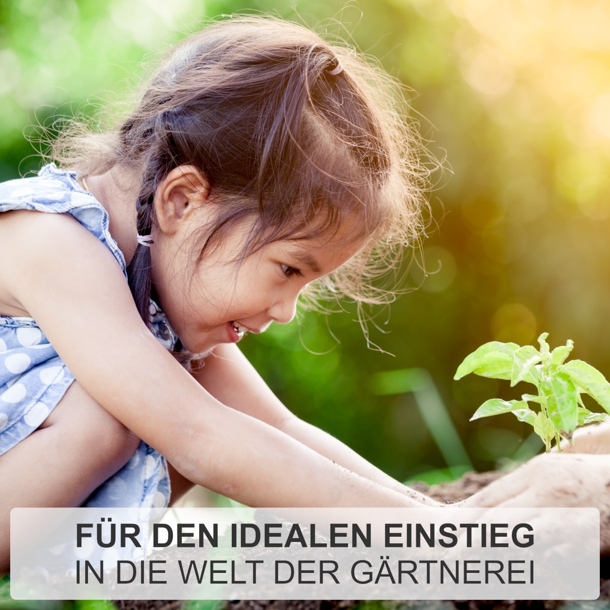 Kinderspaten mit T-Stiel 75cm, lackiert & poliert, kleiner Spaten für Kinder, Gartenspaten