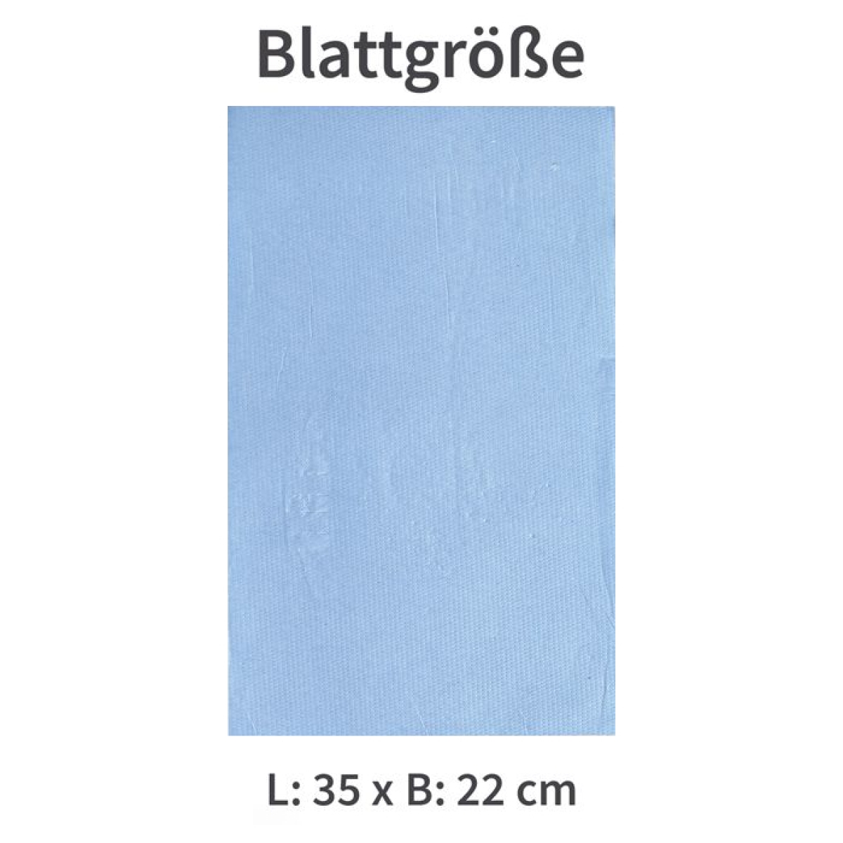 Hygoclean Putzpapier 2-lagig - Putztücher 35x22cm - 2 Rollen à 1000 Blatt