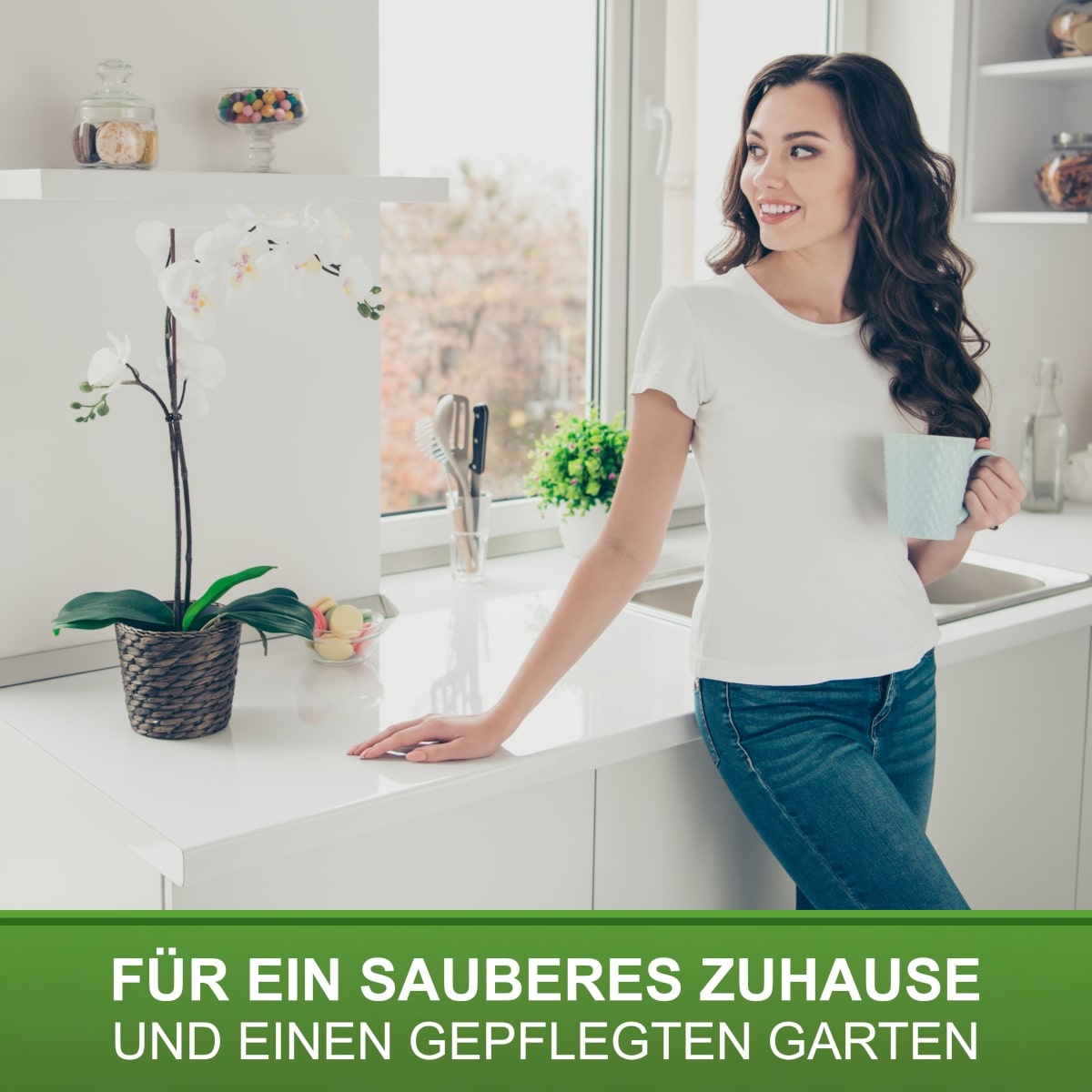 Handfeger Rosshaar 28cm, Buchenholz, Rosshaar-Handfeger für feinen Schmutz