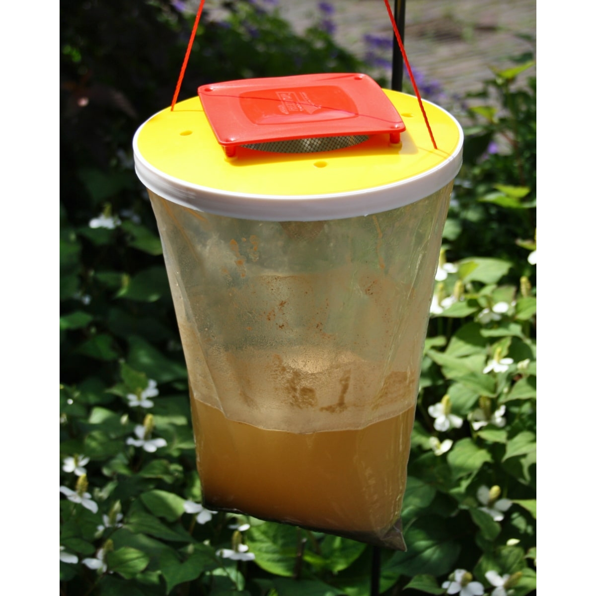 RedTop Fliegenfalle 3 Liter - Einwegmodell - Fliegenfänger für den Außenbereich