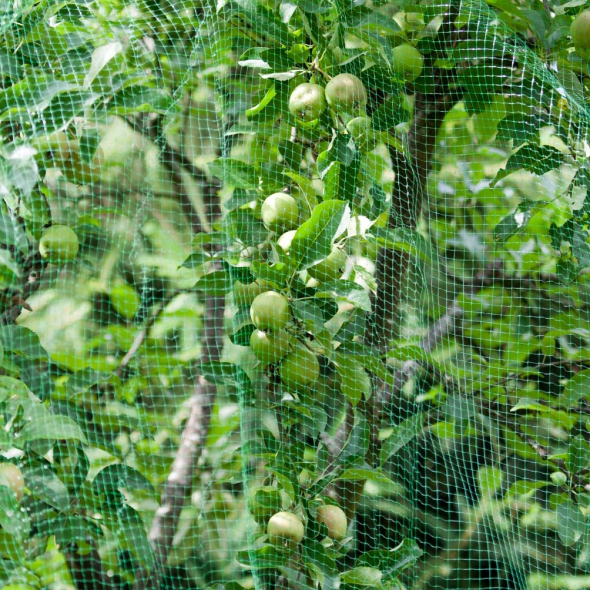 Windhager Vogelschutznetz 5x2m, Maschenweite: 15mm, Obstnetz, Teichnetz, Vogelnetz
