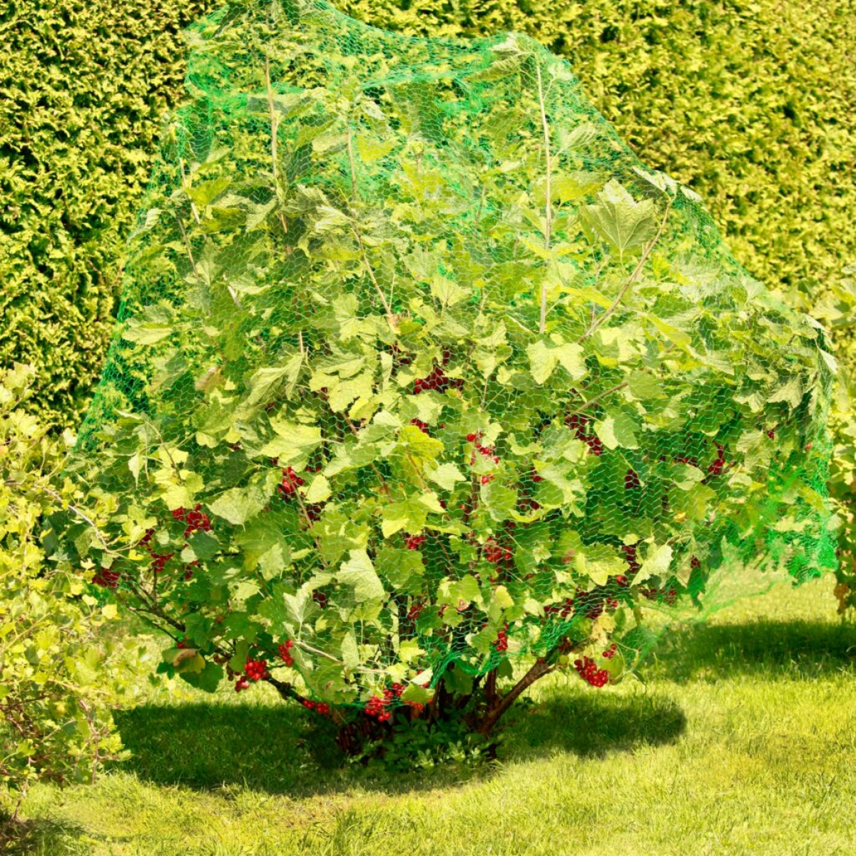 Windhager Vogelschutznetz 5x4m, Maschenweite: 15mm, Obstnetz, Teichnetz, Vogelnetz