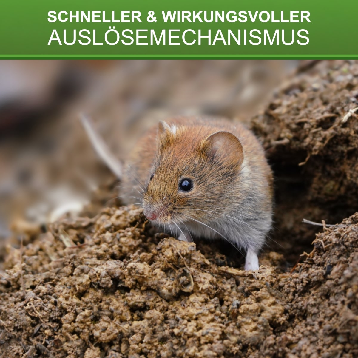 Kieferle Wühlmausschussfalle W2 + 50 Kartuschen - Wühlmausschussgerät zur Wühlmausabwehr