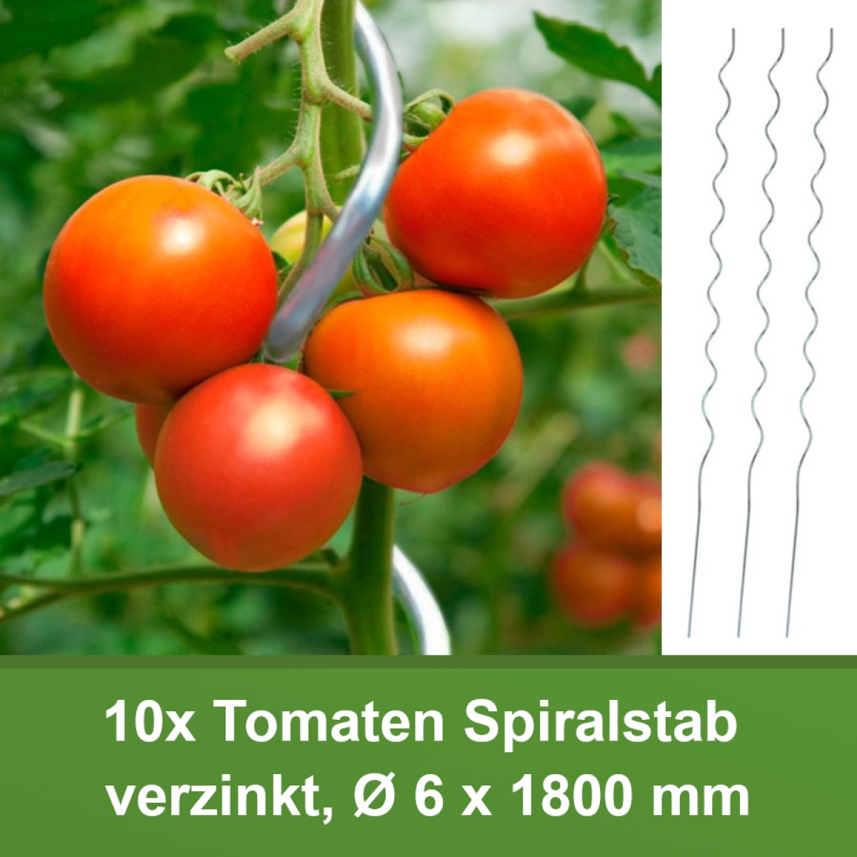 10x Tomaten-Spiralstab 180cm, verzinkt, Tomatenstab, Pflanzenstab, Rankhilfe
