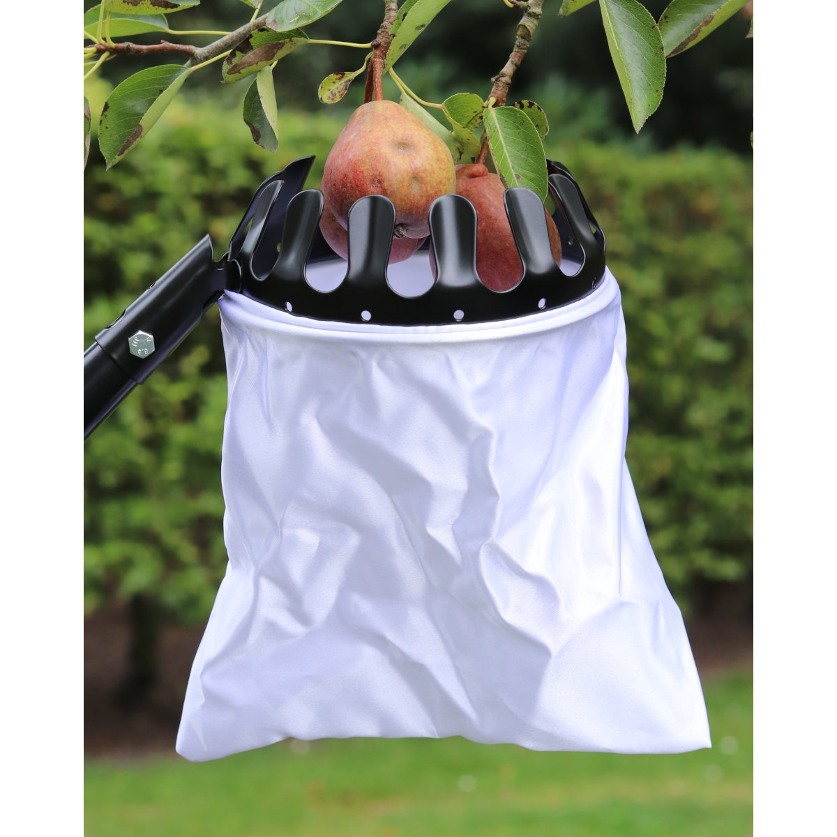 Obstpflücker mit Teleskopstiel 180-315cm - Apfelpflücker - Obstsammler mit Aluminiumstiel