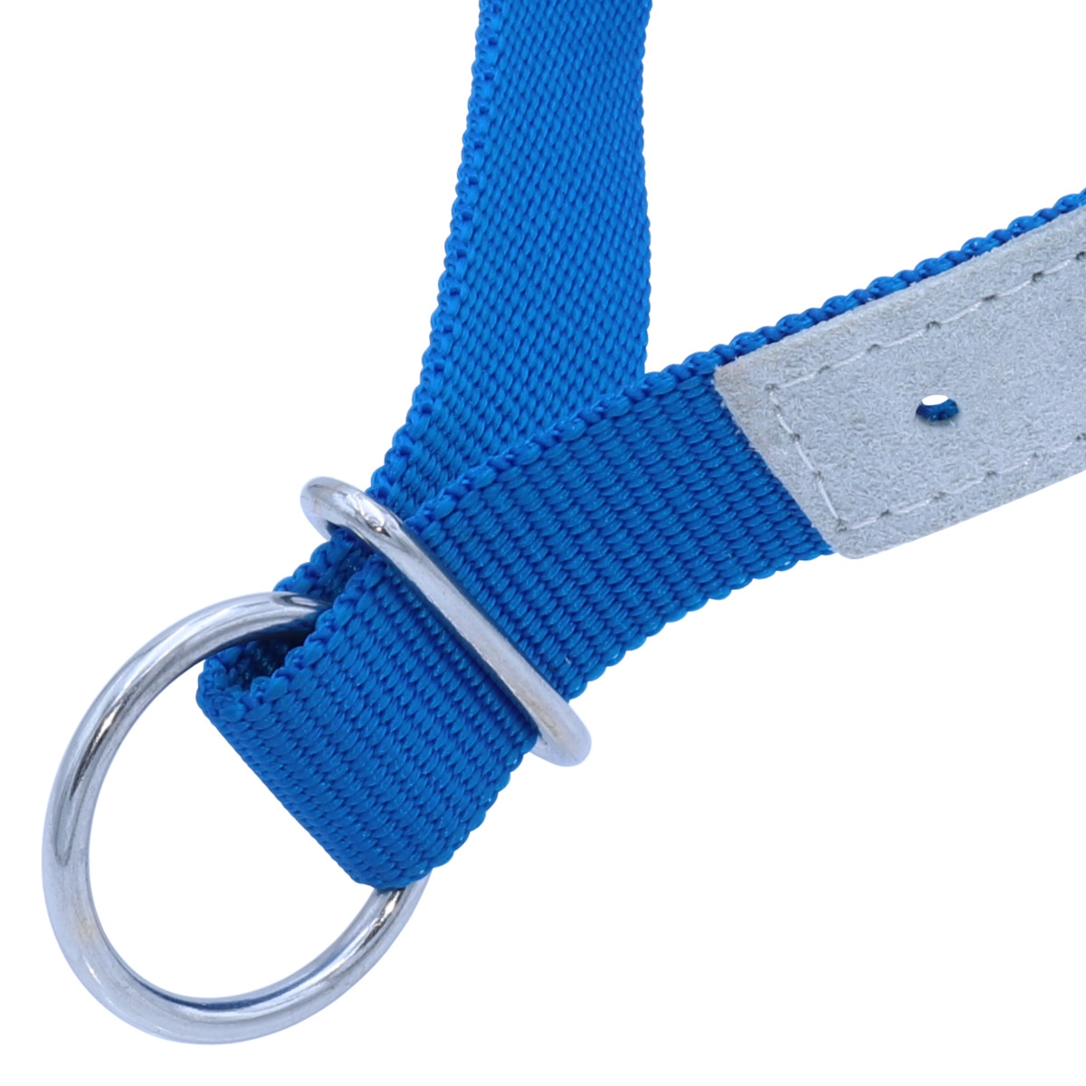 Halsriemen für Schafe, verstellbares Ziegenhalsband, Nylon & Leder, Blau, 60cm