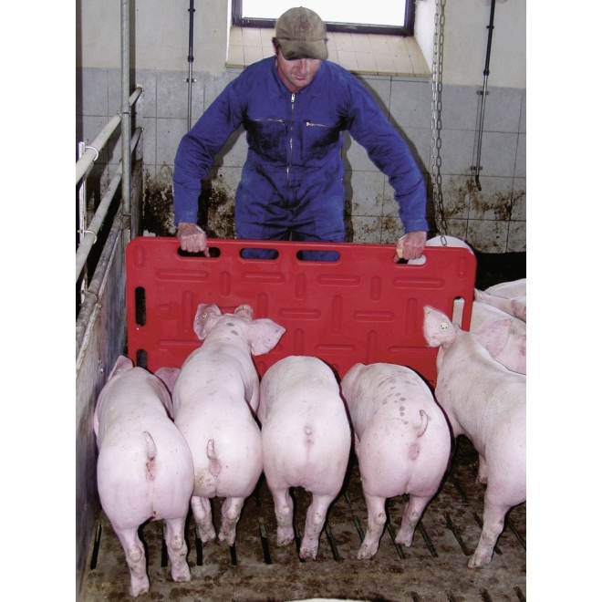 Schweine-Treibbrett 126x76cm, Rot, Treibhilfe für Schweine