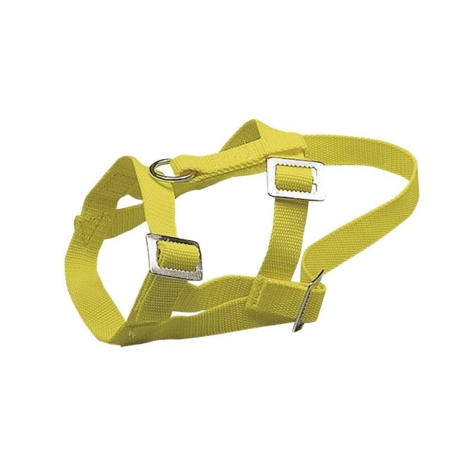 Kopfhalter für Schafe und Böcke aus Nylon, gelb, Halfter, Schafhalfter