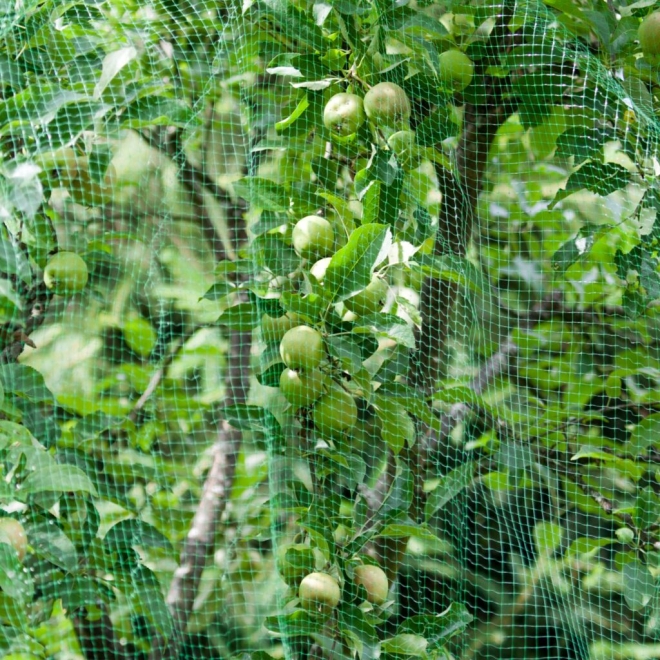 Windhager Vogelschutznetz 5x4m, Maschenweite: 15mm, Obstnetz, Teichnetz, Vogelnetz