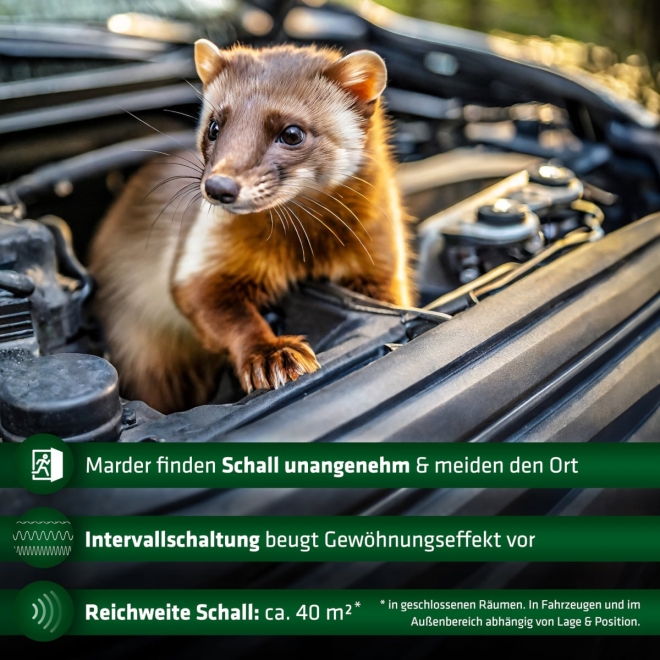 Gardigo Marder-Frei Mobil, Marderschreck, Marderabwehr für Haus und Auto