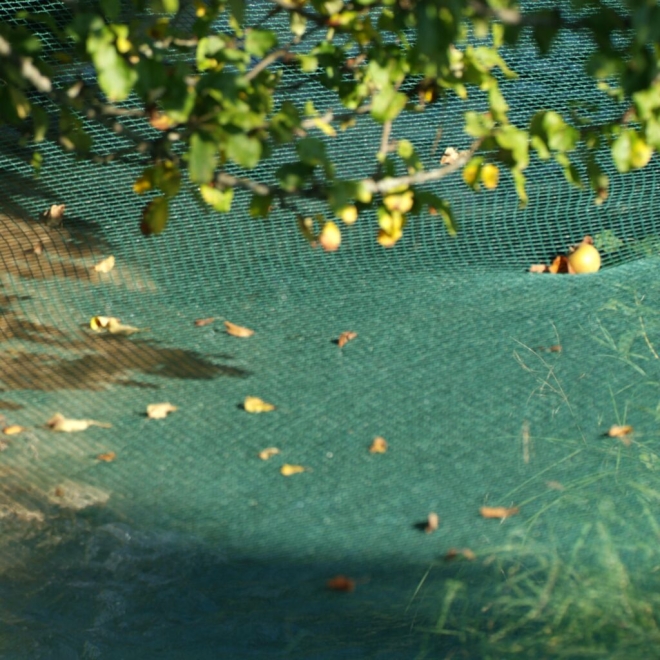 Windhager Laubschutznetz 10x4m, grün, mit 10 Netzhaltern, Teichnetz, Laubnetz