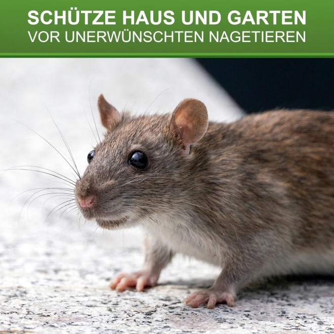 Köderstation Dualbox 2in1 - Durchlauf Schlagfalle und Köderbox - Rattenbox 24x20x11cm