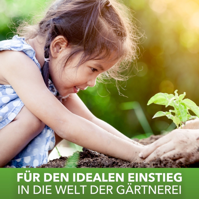 Kinder Besen Holz - kleiner Besen für Kinder - Spielbesen farblich sortiert