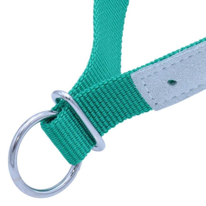 Halsriemen für Schafe, verstellbares Ziegenhalsband, Nylon & Leder, Grün, 60cm