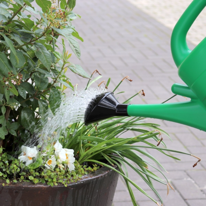 Gießkanne Spring 5 Liter, grün, Kunststoff, Blumengießkanne, abnehmbare Brause