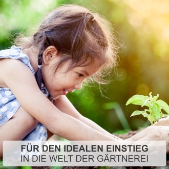 Kinderspaten mit T-Stiel 75cm, lackiert & poliert, kleiner Spaten für Kinder, Gartenspaten