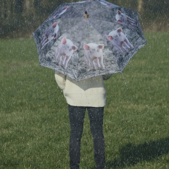 Esschert Design Regenschirm Bauernhoftiere, Automatikschirm, verschiedene Motive