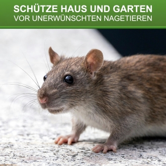 Durchlauf Schlagfalle für Ratten - Rattenschlagfalle - Rattenfalle aus Kunststoff