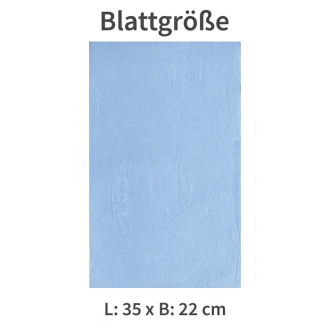 Hygoclean Putzpapier 2-lagig - Putztücher 35x22cm - 2 Rollen à 1000 Blatt