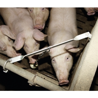 Beißkugel Ø75mm mit Schäkel, Spielmaterial für Mastschweine