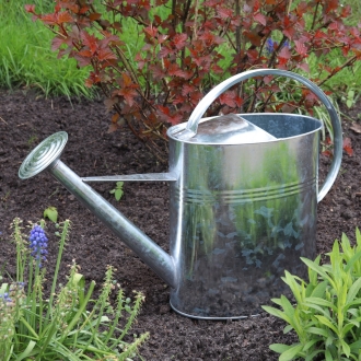 Zinkgießkanne 10 Liter, Metall Gießkanne, Dekogießkanne, Blumengießkanne