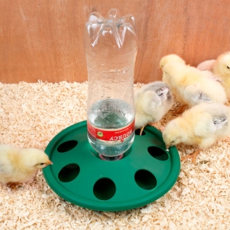 Kükentränke für PET-Flaschen, Geflügeltränke für Trinkflaschen, 7 Öffnungen, grün