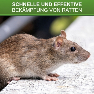 Köderstation Dualbox 2in1 - Durchlauf Schlagfalle und Köderbox - Rattenbox 24x20x11cm
