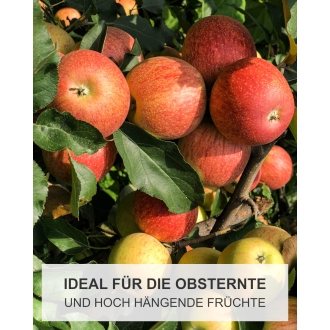 Obstpflücker mit Teleskopstiel 180-315cm - Apfelpflücker - Obstsammler mit Aluminiumstiel