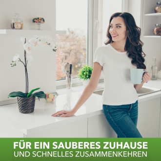 Kehrgarnitur: Kehrblech und Rosshaar Handfeger, Kehrset mit Stubenhandfeger