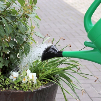 Gießbrause Spring Ø10cm - Ersatzbrause für Kunststoff Gießkannen - Brausekopf für 5 & 10 Liter