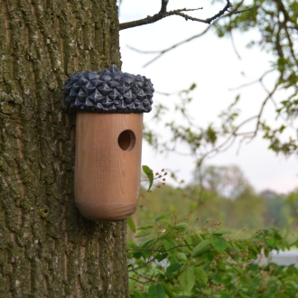 Esschert Design Nistkasten Eichel, Vogelhaus für Zaunkönig, Eichelhaus, NK83