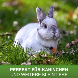Kaninchen Futterautomat 2,5kg, verzinkt, Futtertrog, Futterspender für Kaninchen und Kleintiere