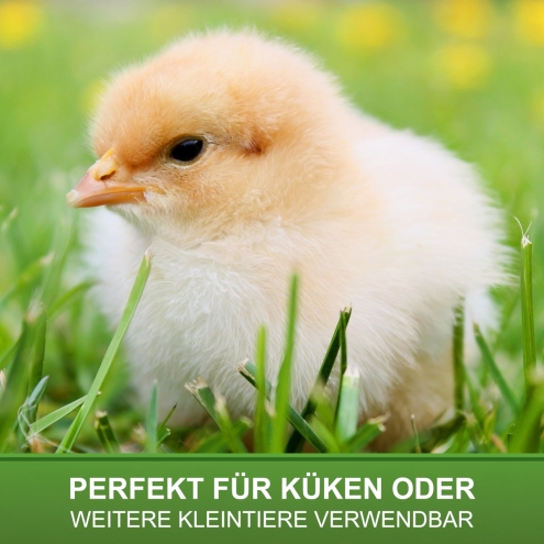 Küken-Wärmeplatte 30x40cm, 30 Watt, Heizplatte für die Kükenaufzucht
