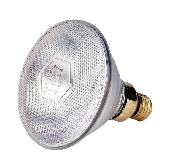 Philips Infrarot-Sparlampe, weiß, 100 Watt, für Infrarot-Aufzuchtstrahler, Wärmestrahler