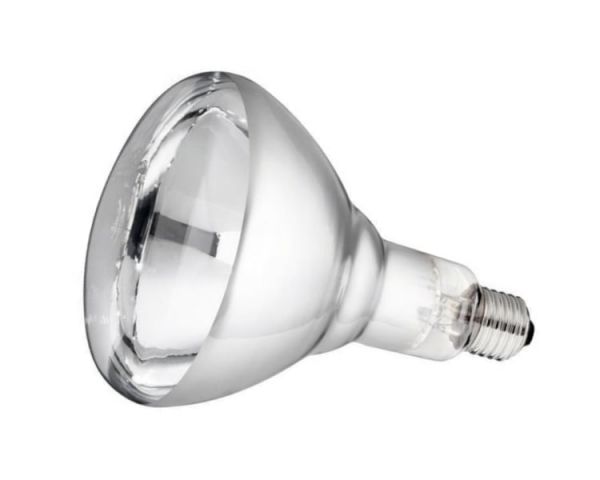 Philips Hartglas-Infrarotlampe, weiß, 250 Watt, für Infrarot-Aufzuchtstrahler, Wärmestrahler