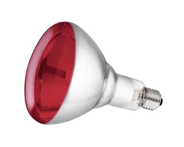 Philips Hartglas-Infrarotlampe, rot, 250 Watt, für Infrarot-Aufzuchtstrahler, Wärmestrahler