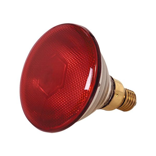 Eider Infrarot-Sparlampe, rot, 100 Watt, für Infrarot-Aufzuchtstrahler, Wärmestrahler