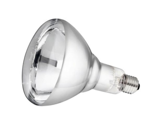 Philips Hartglas-Infrarotlampe, weiß, 150 Watt, für Infrarot-Aufzuchtstrahler, Wärmestrahler