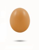 Nestei Kunststoff, braun, Ei-Imitat, Brutei, Legeei, Bruthilfe für Hühner Legenester, Hühnernest Nestei Kunststoff, braun, Ei-Imitat, Brutei, Legeei, Bruthilfe für Hühner Legenester, Hühnernest