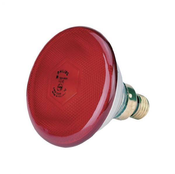 Philips Infrarot-Sparlampe, rot, 100 Watt, für Infrarot-Aufzuchtstrahler, Wärmestrahler