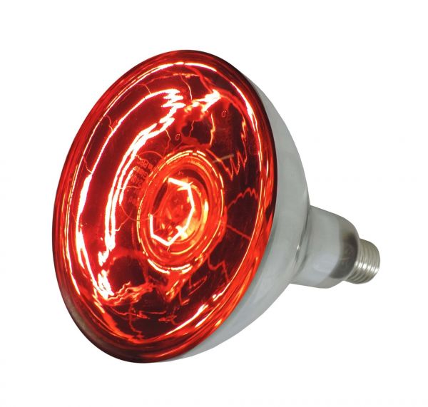 Eider Infrarotlampe, rot, 150 Watt, für Infrarot-Aufzuchtstrahler, Wärmestrahler